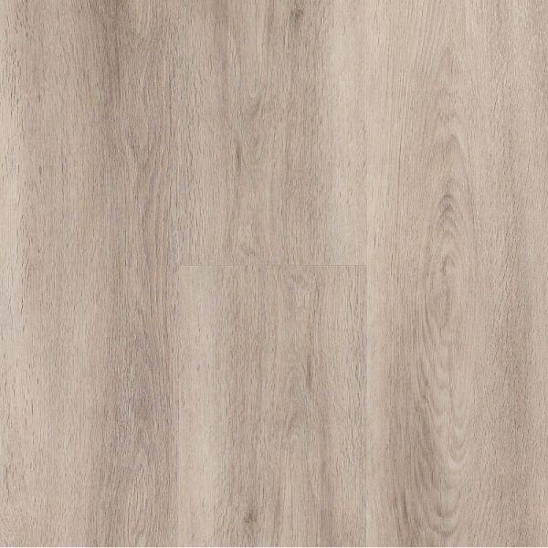 Elite greige Spirit pro 55