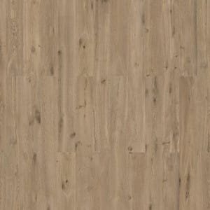 80003603 Wicanders Wise Ginger Wood Fume