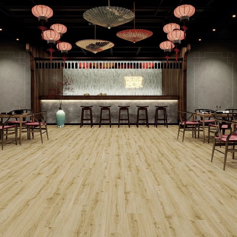 JOKA 555 Evolut - 5913 Golden Oak EIR