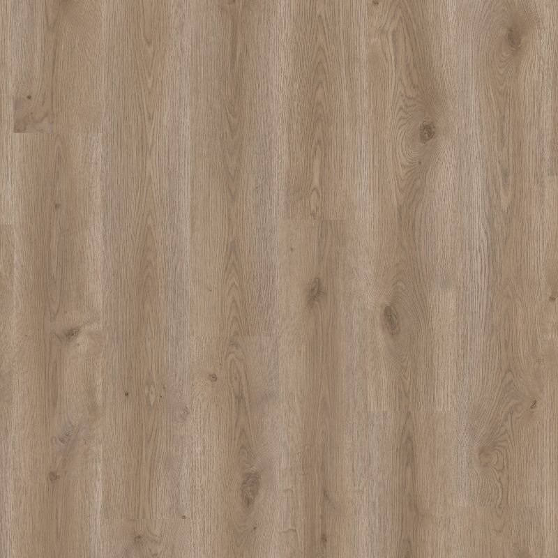 Contemporary Oak Grege | Tarkett ID Classics 30 | Klebevinyl